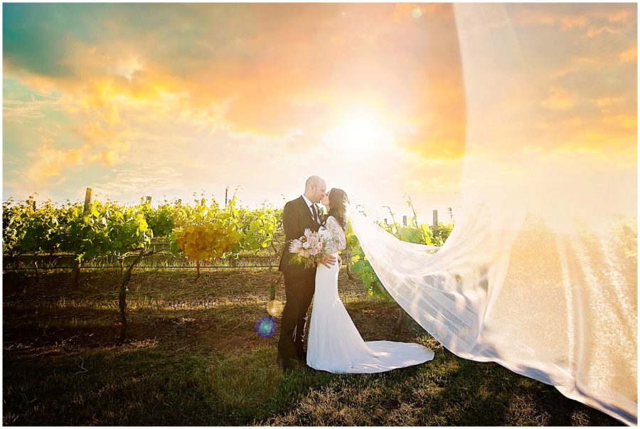 Emma & Luke | Married | Sittella Winery