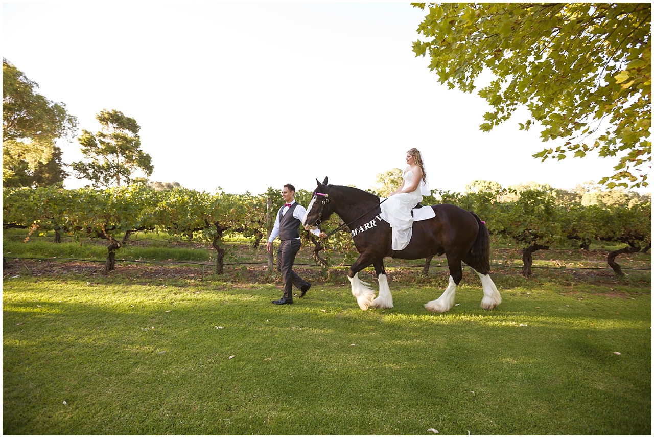 Wedding Photography at Sandalford Winery, Swan Valley, Perth