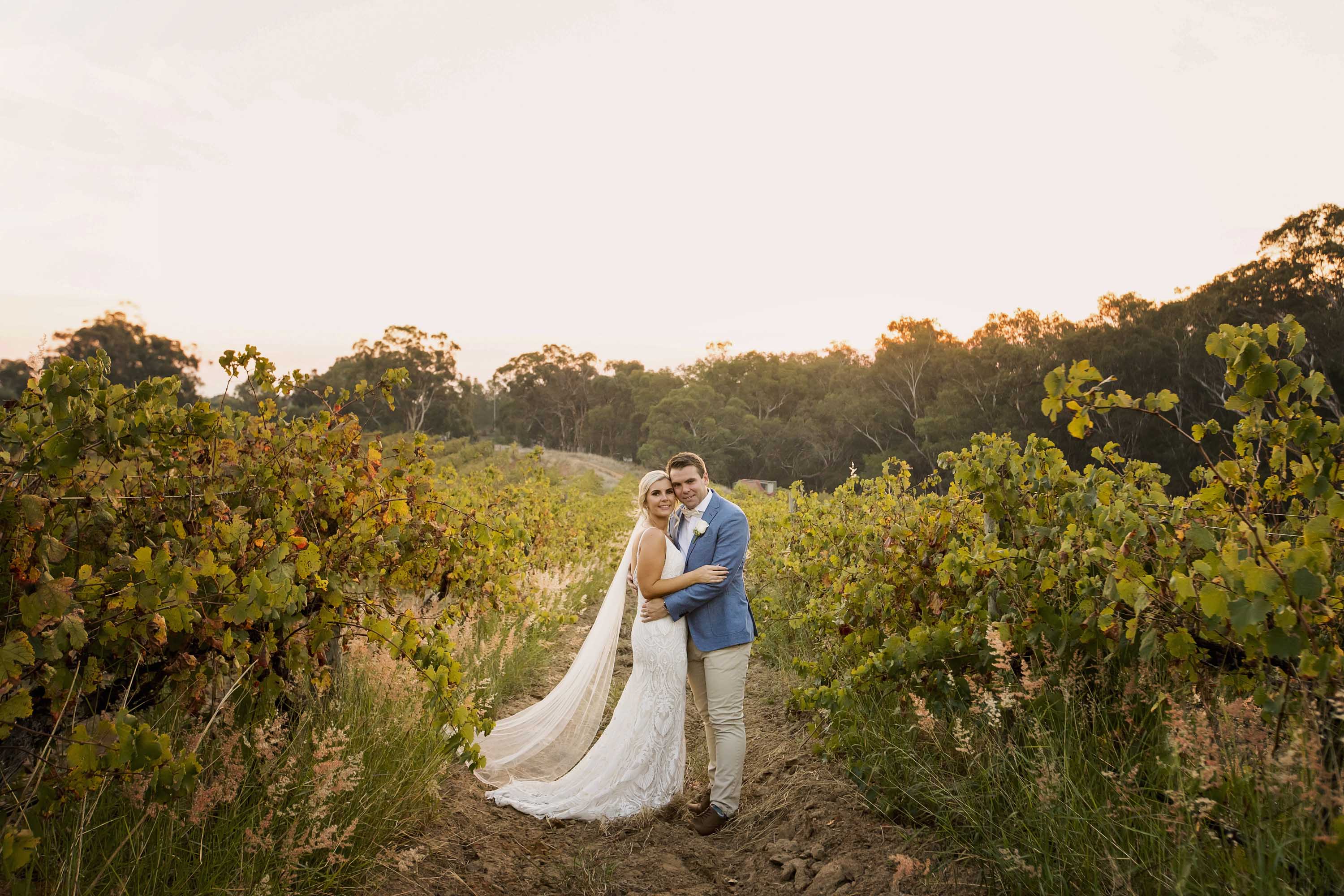 Bride and groom in vineyards at Carilley Estate in Swan Valley