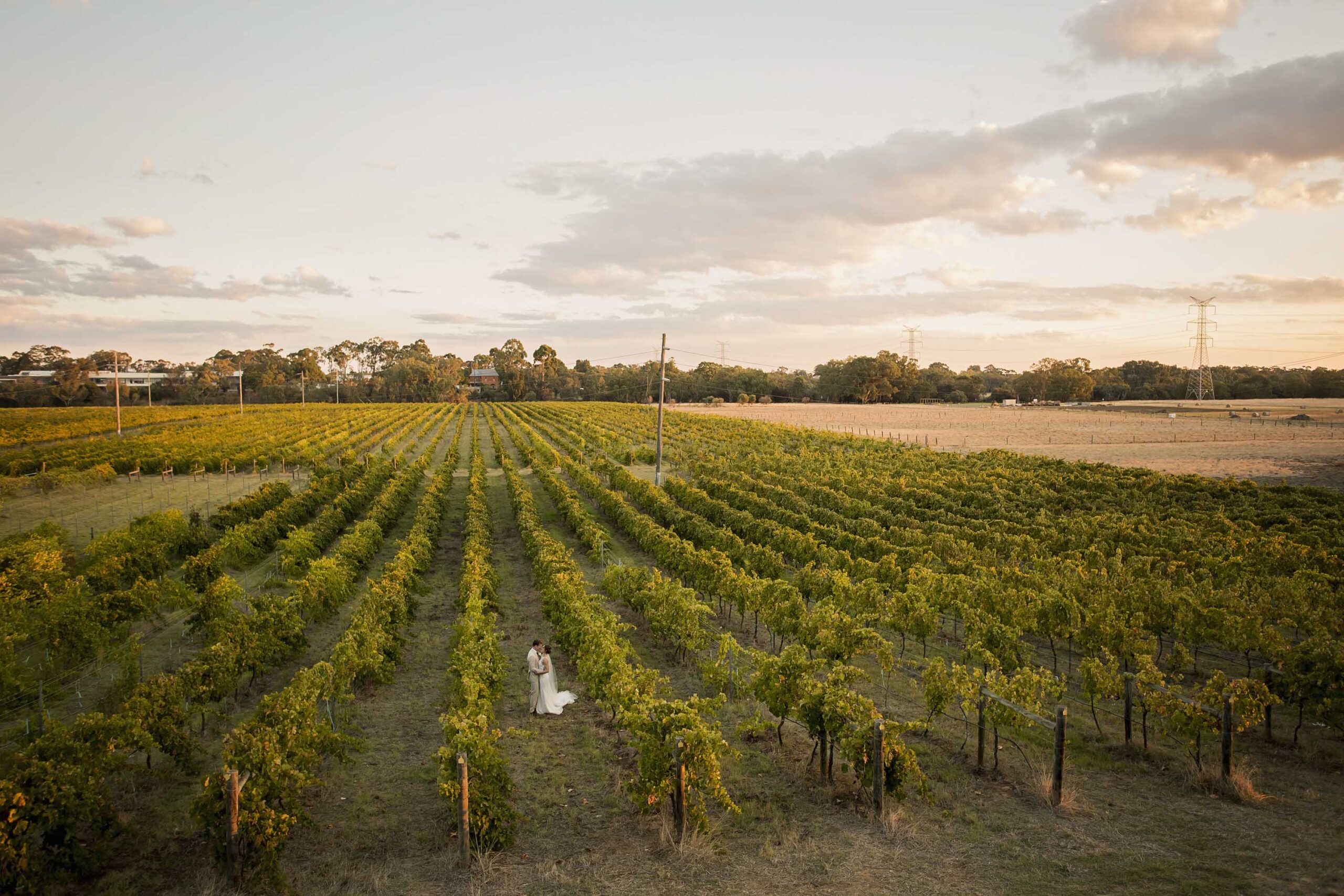 ALLABOUTIMAGEPHOTOGRAPHYASHWOOD534 (1)