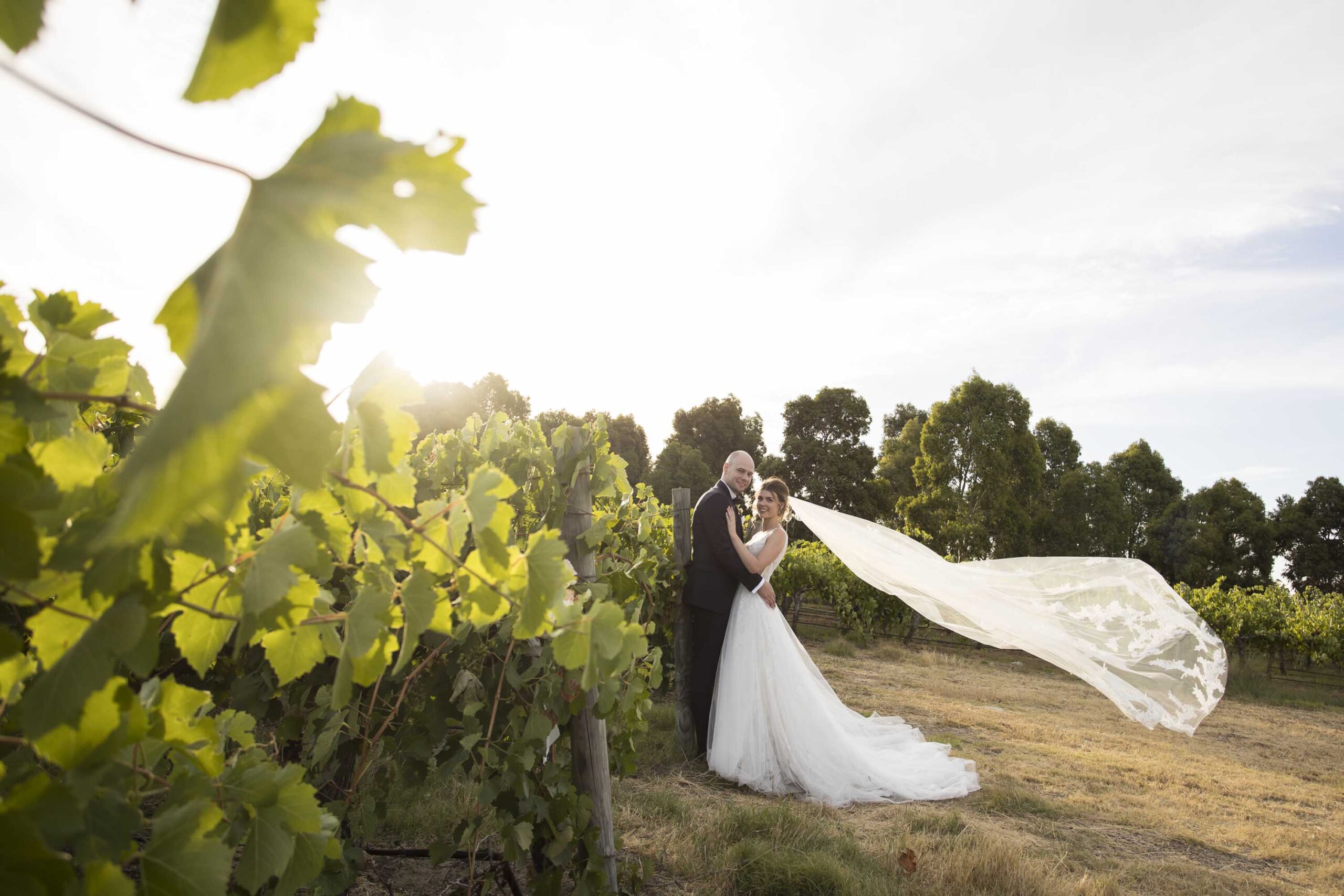ALLABOUTIMAGEPHOTOGRAPHYBALATONYI432