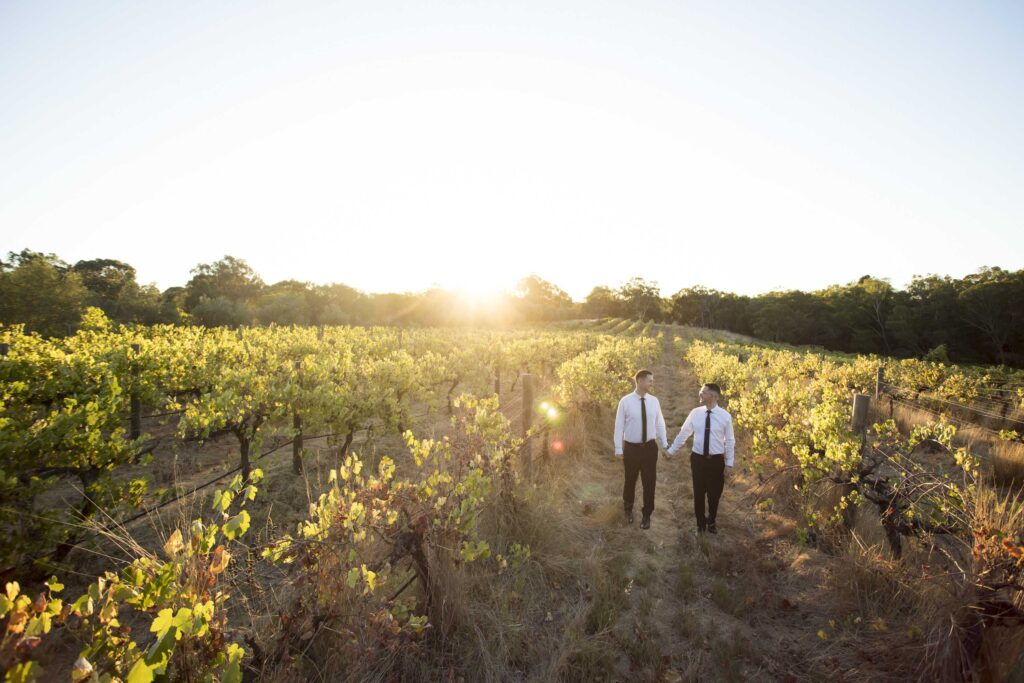 Newlywed couple walking hand in hand through a vineyard at sunset during their Perth wedding